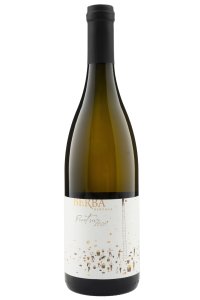 Pinot Sivi 2020, Berba Bertoša