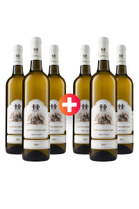 3 + 3  ZADARMO Souvignier Gris 2019, sladké, Vinařství Pavel Hruška