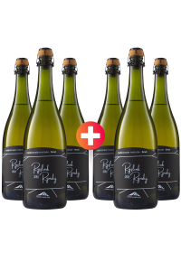 3 + 3  ZADARMo  Sekt Ryzlink rýnský Brut 2018, suché, Vinařství Kněží hora